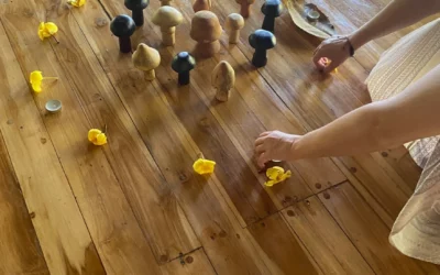 Oaxaca Mushroom Journey