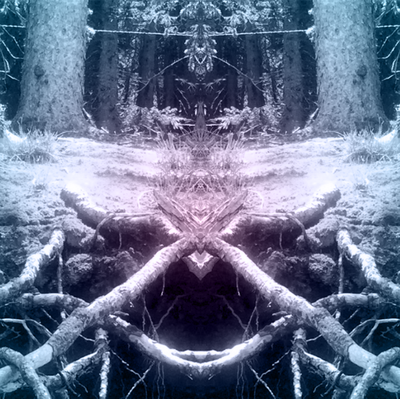 forest spirits